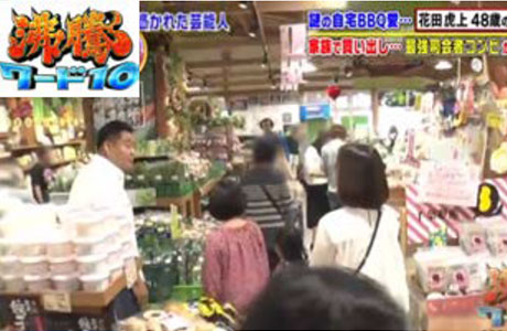 メディア実績例