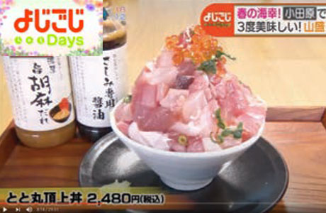 メディア実績例