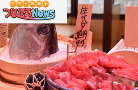 メディア実績例